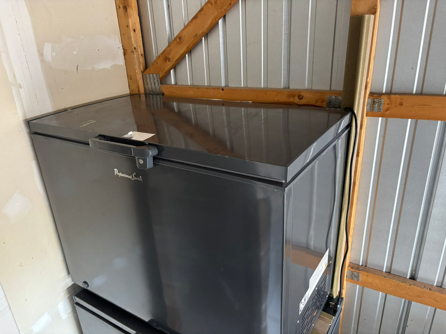 Professional Series Garage Ready 10.0 cu. ft. Chest Freezer - Scratch & Dent WCA234 - PS-CFR102-I6A