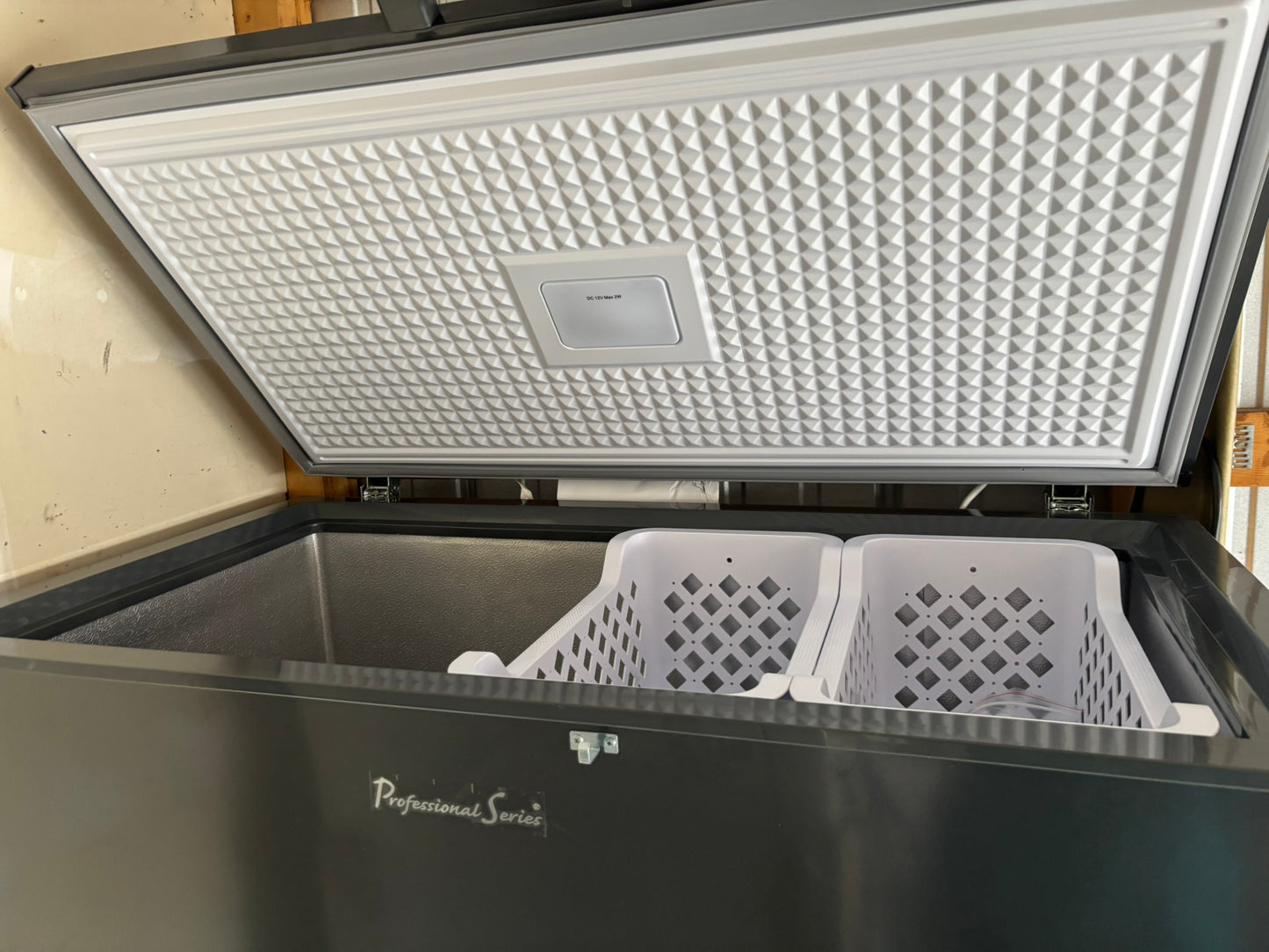 Professional Series Garage Ready 10.0 cu. ft. Chest Freezer - Scratch & Dent WCA234 - PS-CFR102-I6A